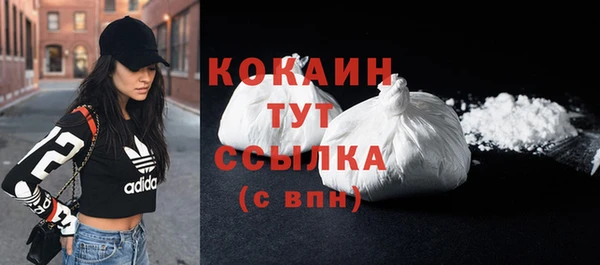 тгк Богданович