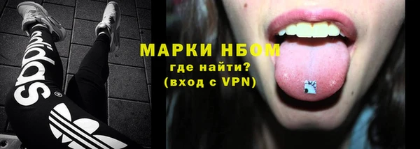 хмурый Бородино