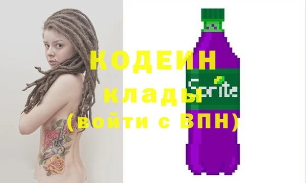 дживик Бронницы