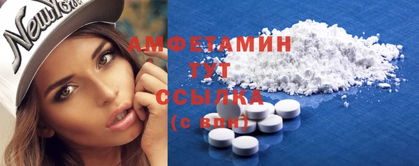 дживик Бронницы