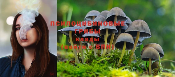 MDMA Богородицк
