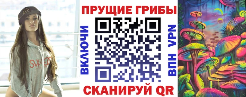 где продают наркотики  Микунь  Псилоцибиновые грибы Cubensis 